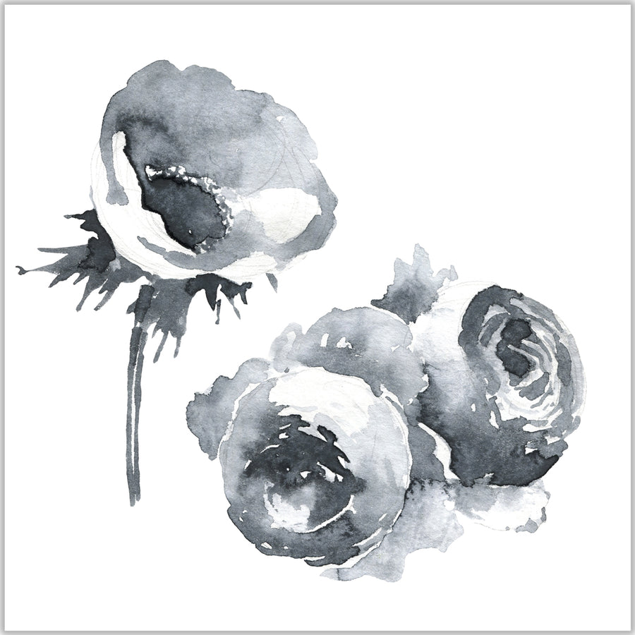 Black and white floral artwork capturing the beauty of camellia blooms as they stand out against a white background.