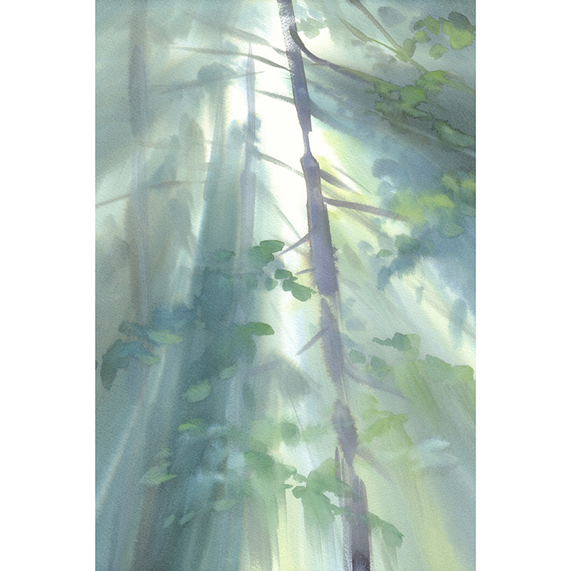 Reach for the sky