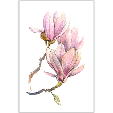 Sweet magnolias