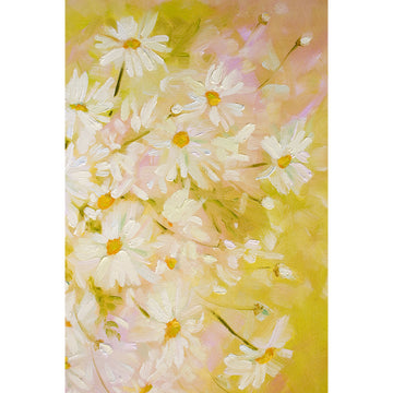 Field of daisies