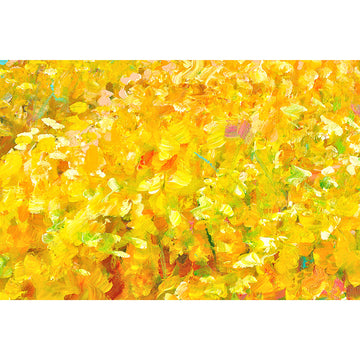 Fields of gold