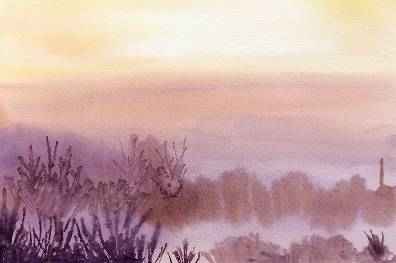 A new day